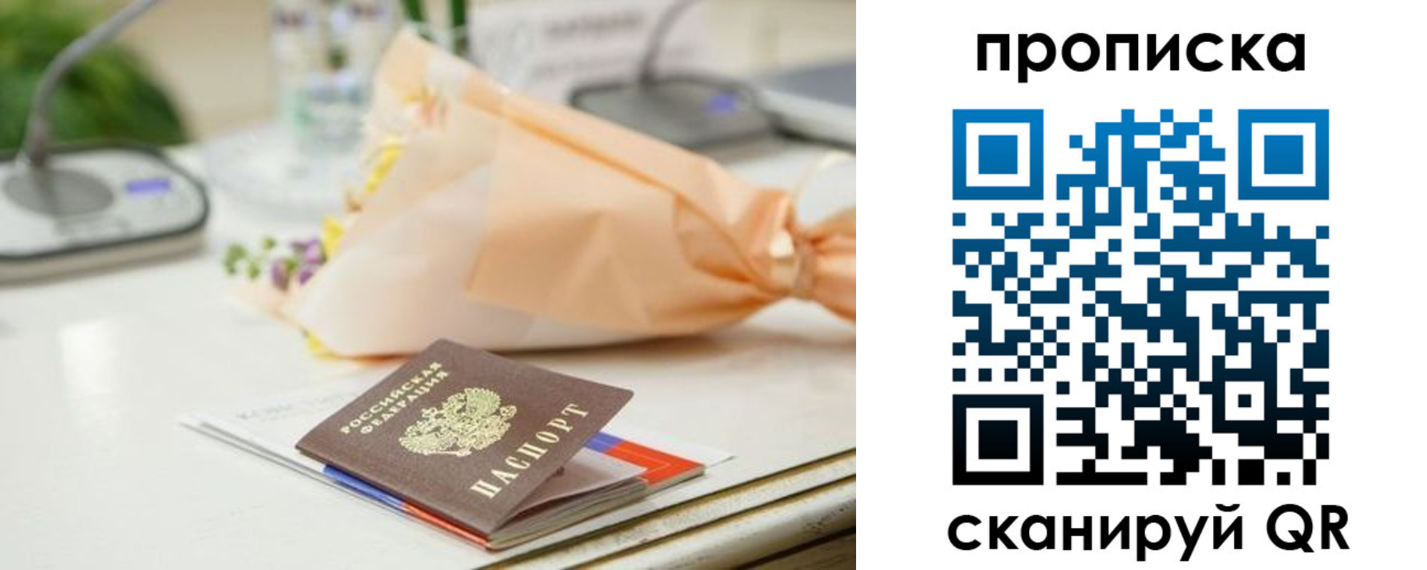 прописка гарантия в Новоалександровске